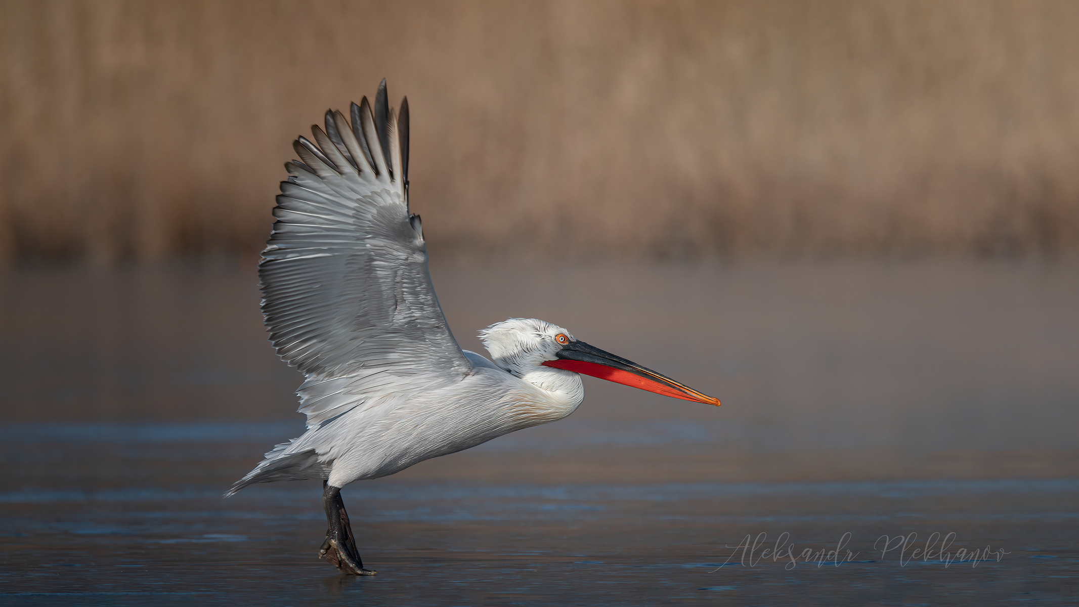 Точка отрыва