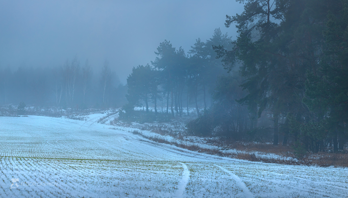 Зимний туман