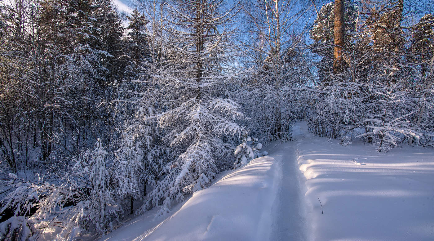 Зимняя тропа