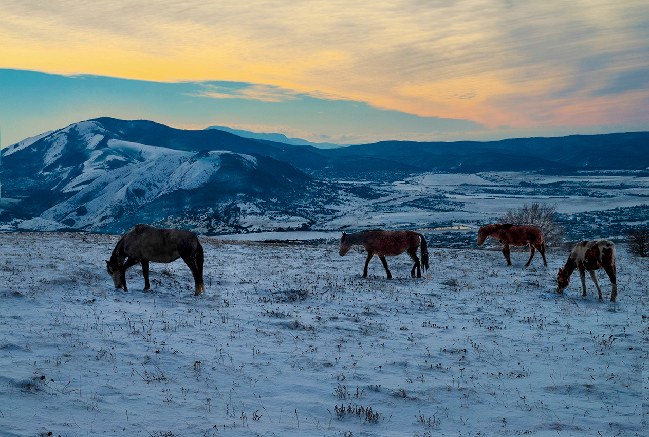 На закате дня