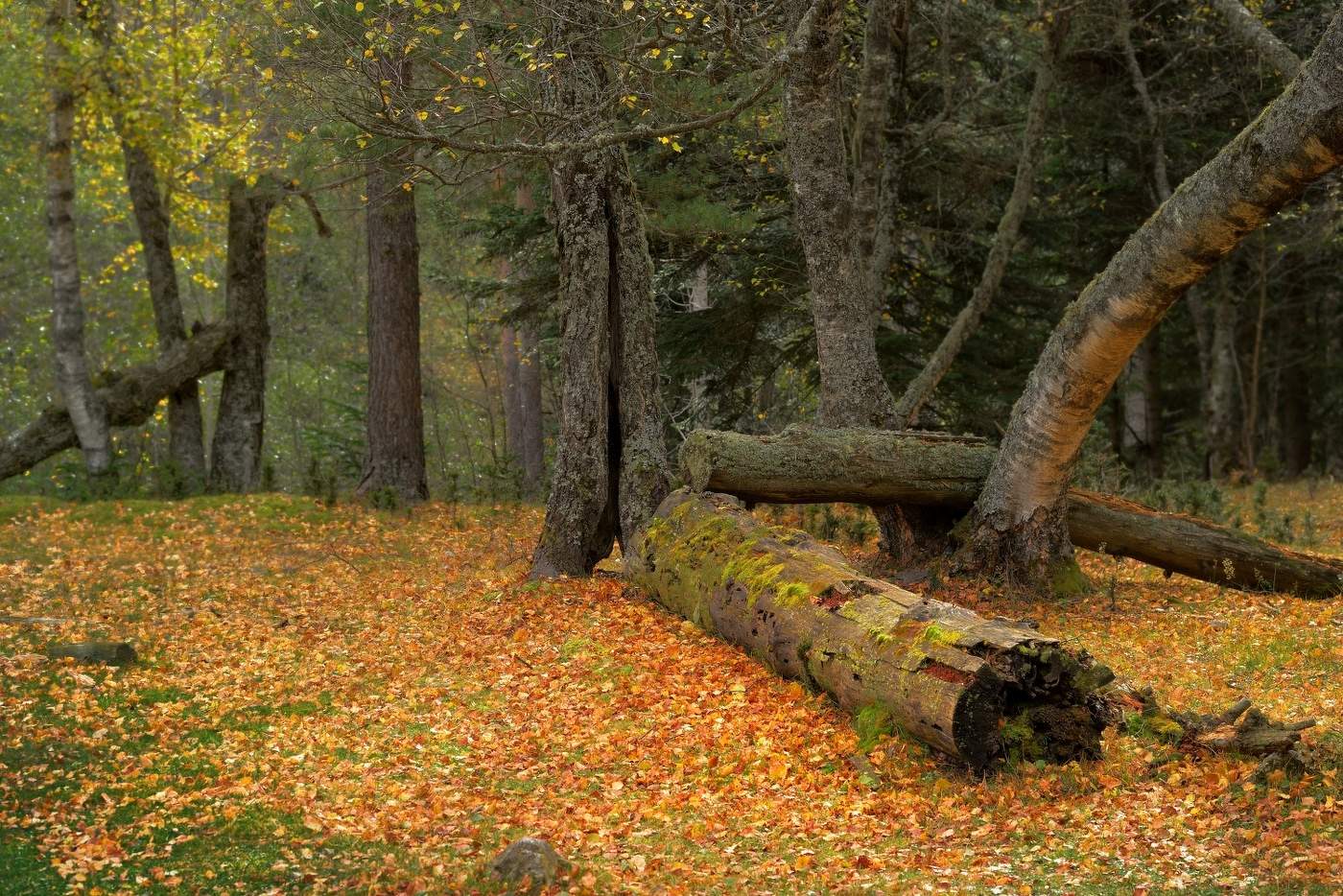 У горной реки