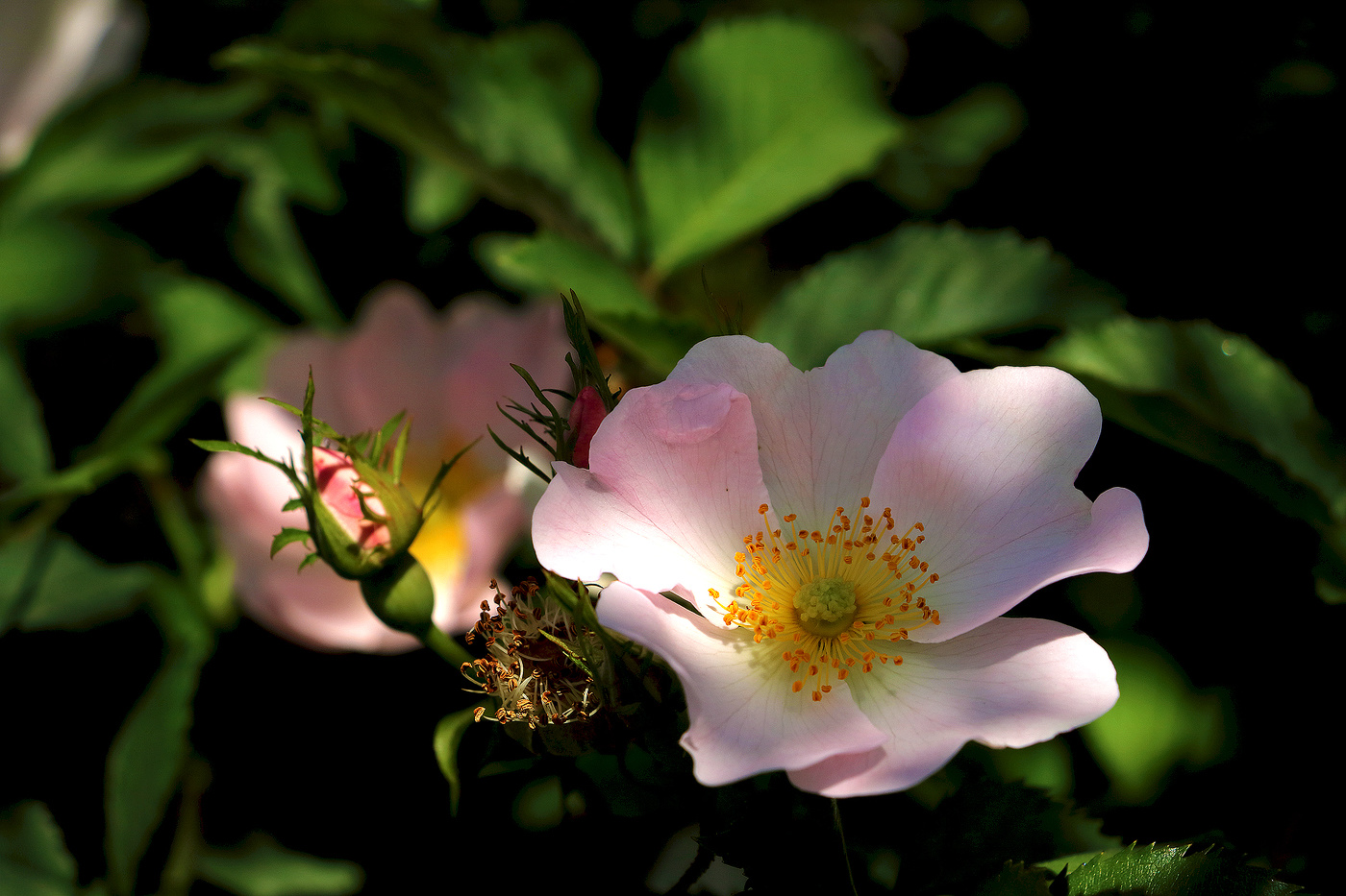 Вспоминая лето...