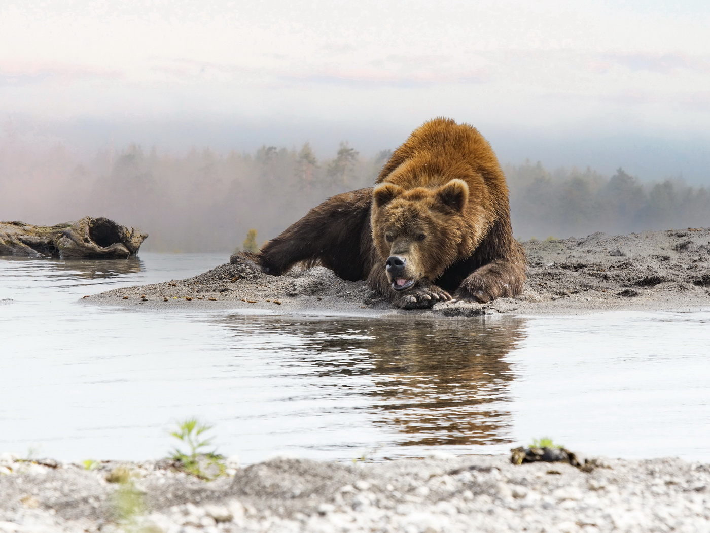 Одиночество