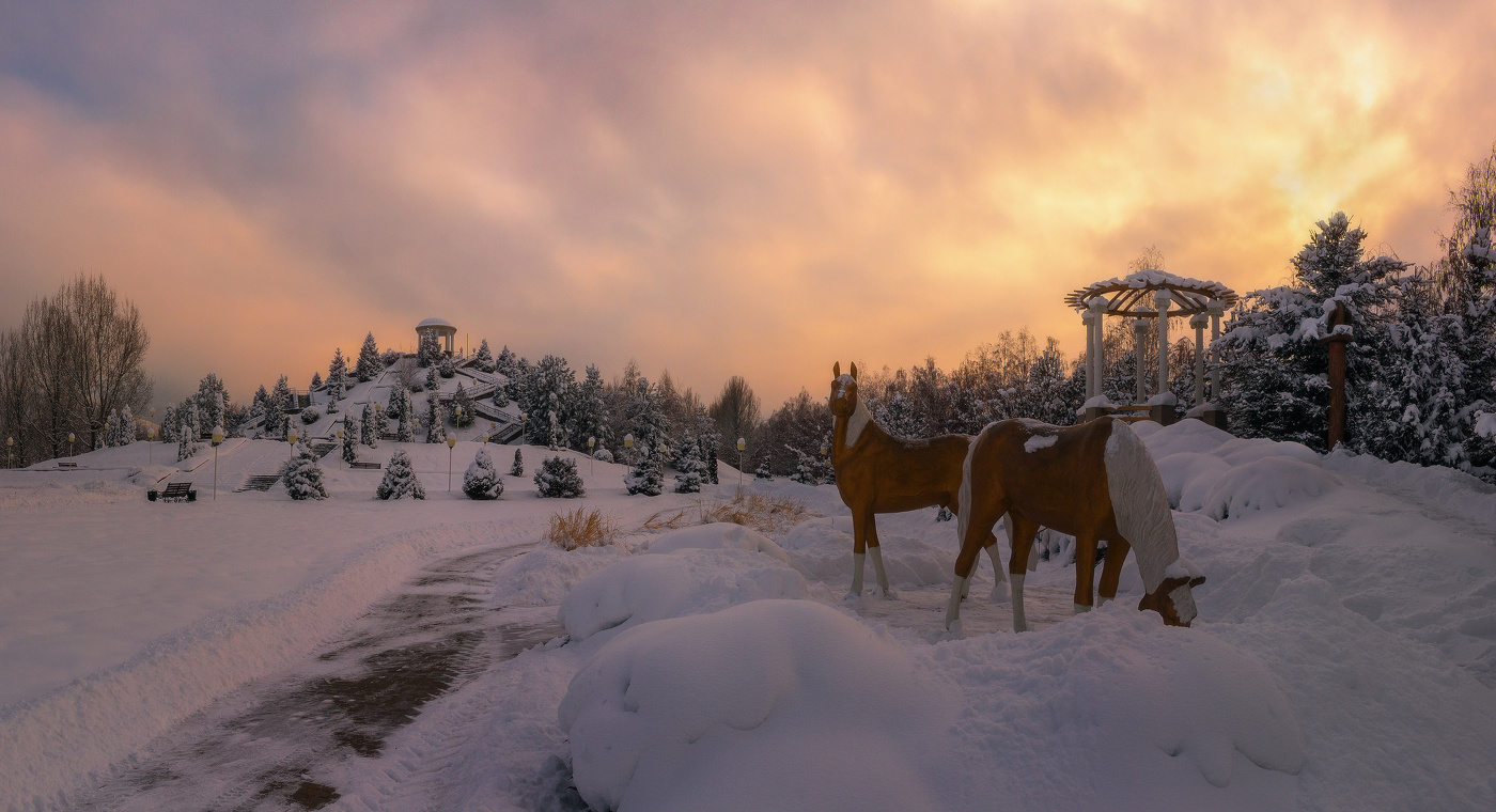 Зимний вечер...
