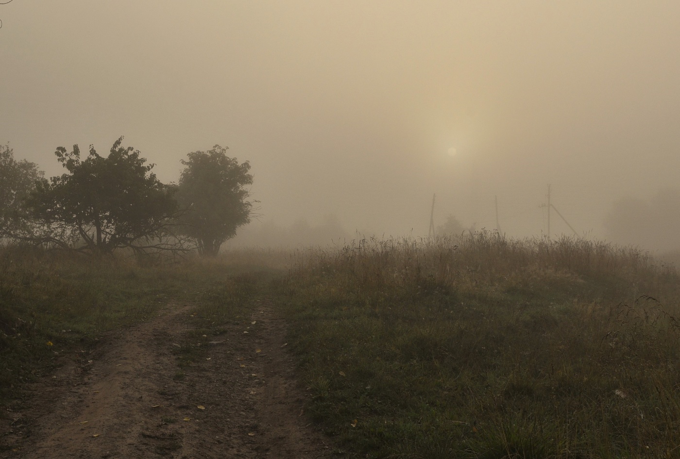Раннее утро ...