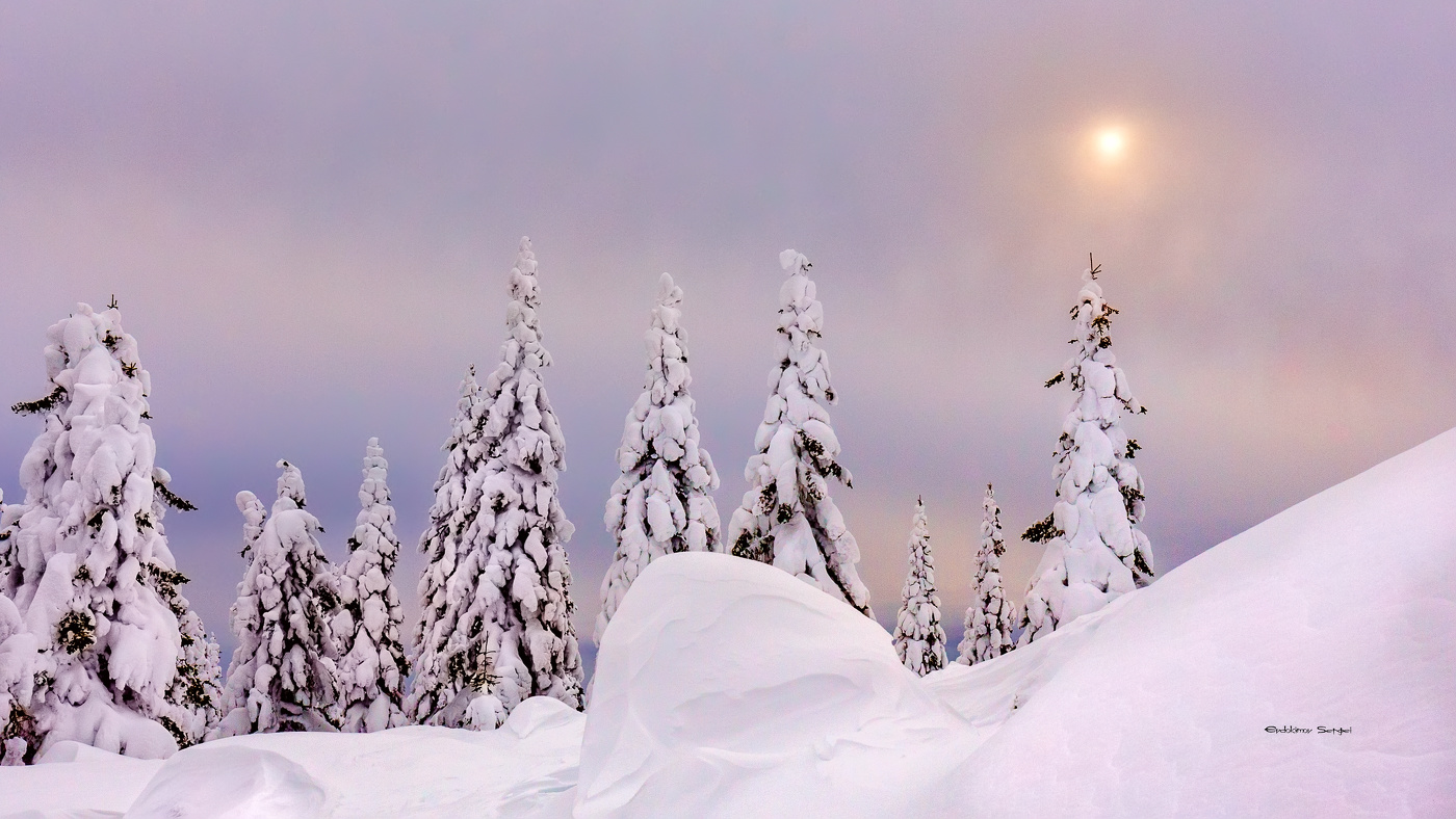 Природа Южного Урала