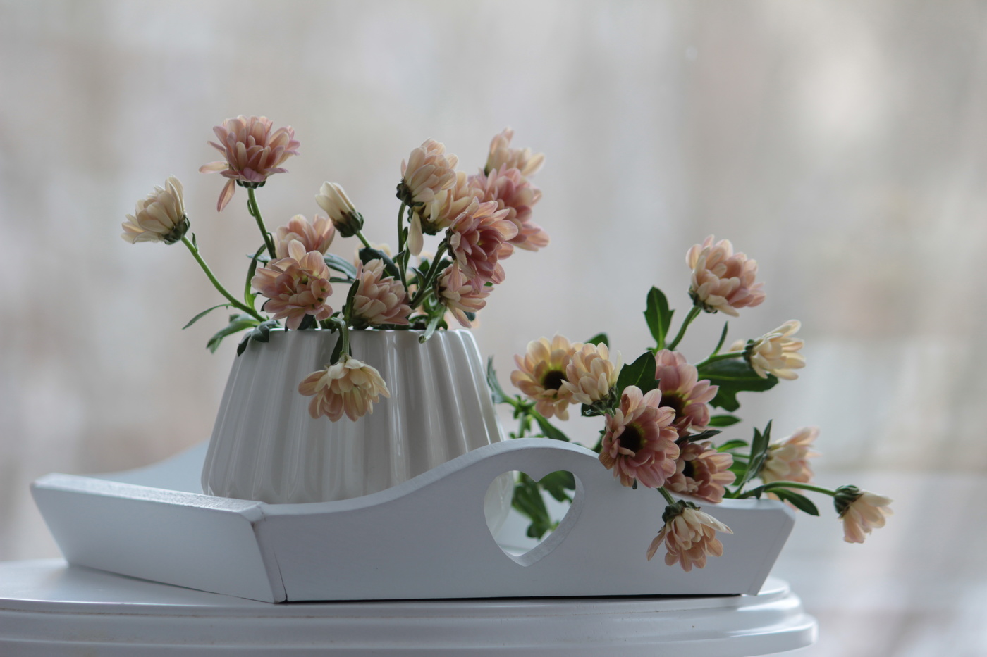 Хризантемы, зима...