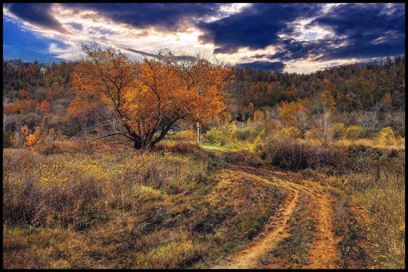 Осенние зарисовки