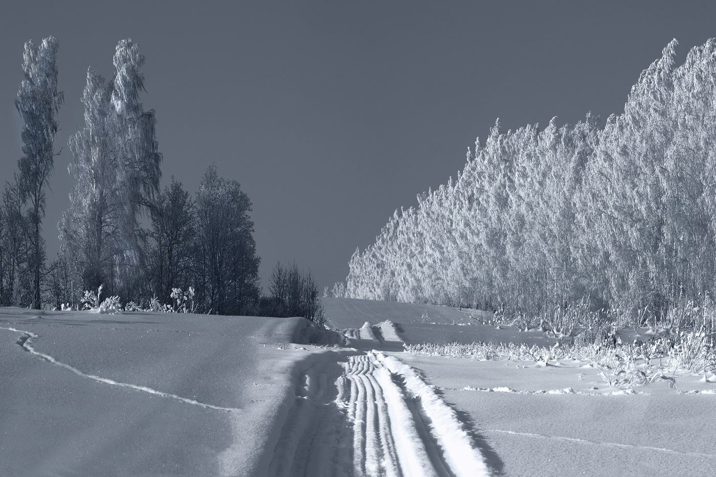 Это зима! Это мороз!!!