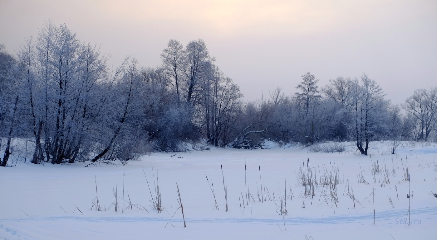 Зимнее утро.