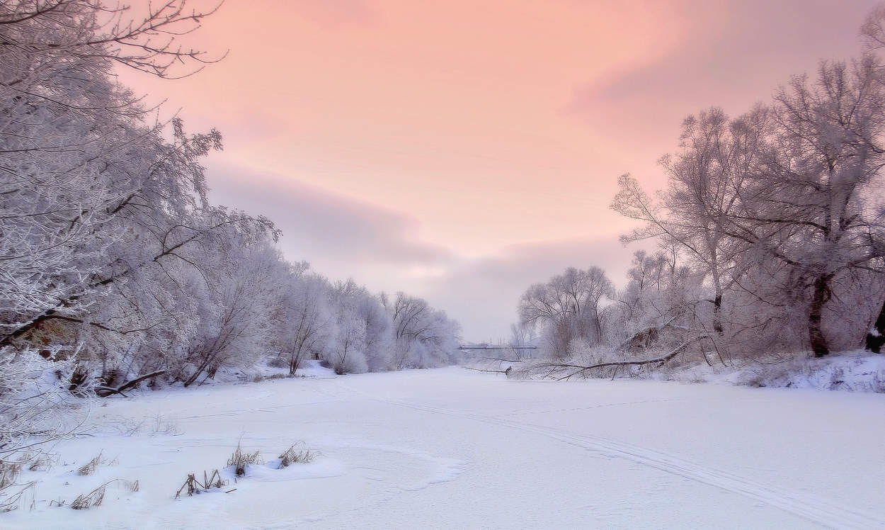 Утро в январе после снегопада