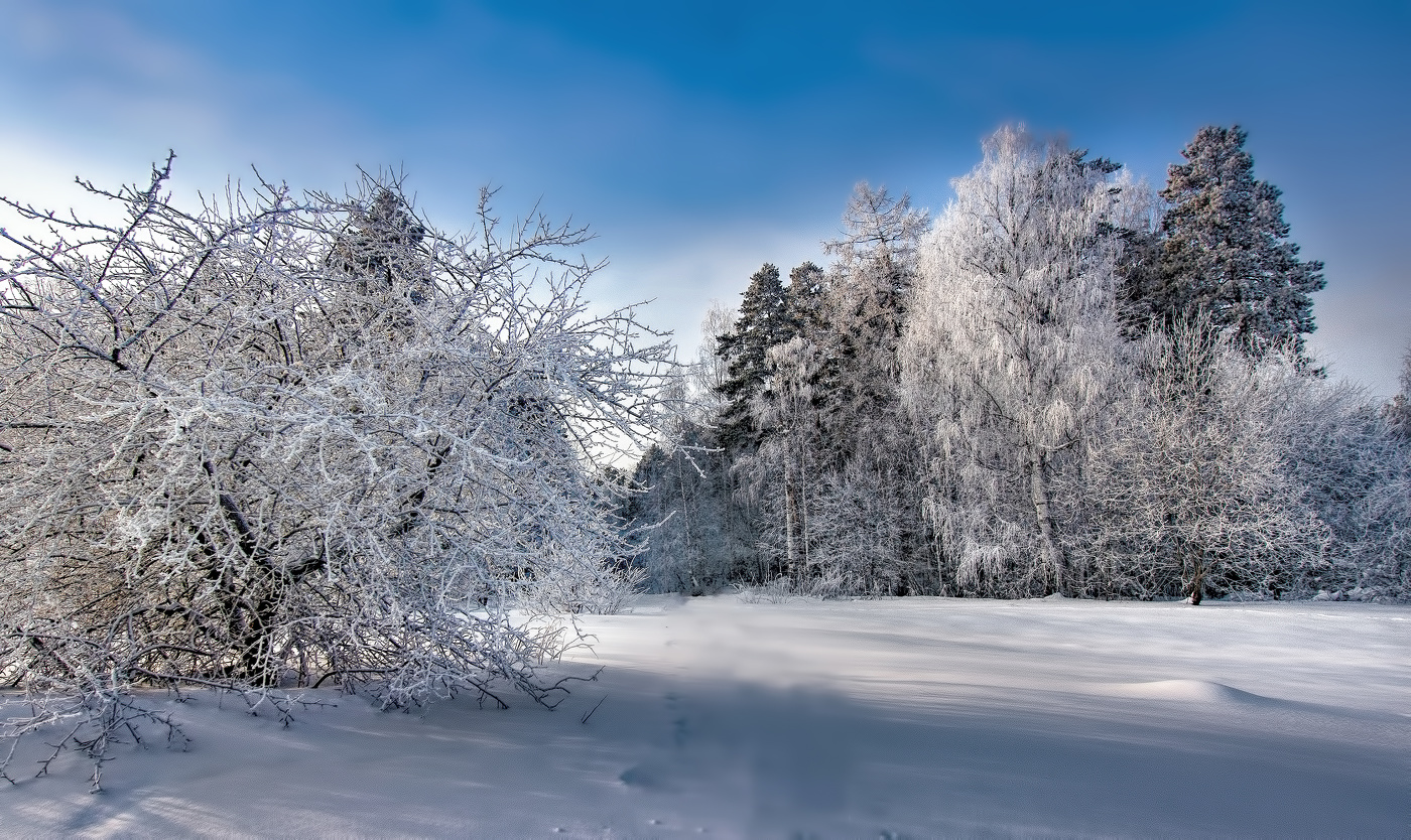 Морозное утро