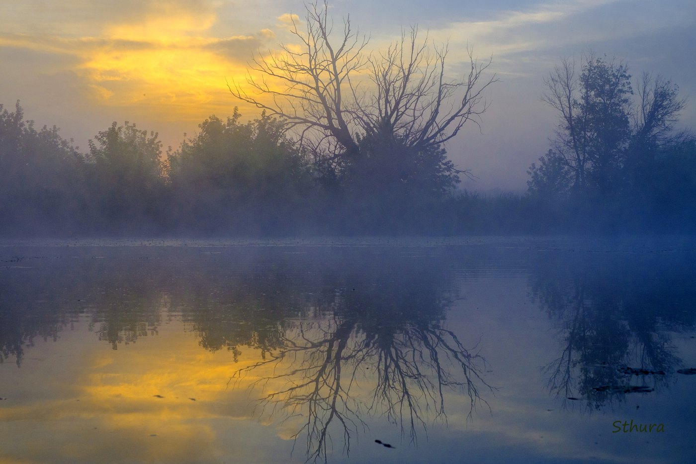 Летнее утро.