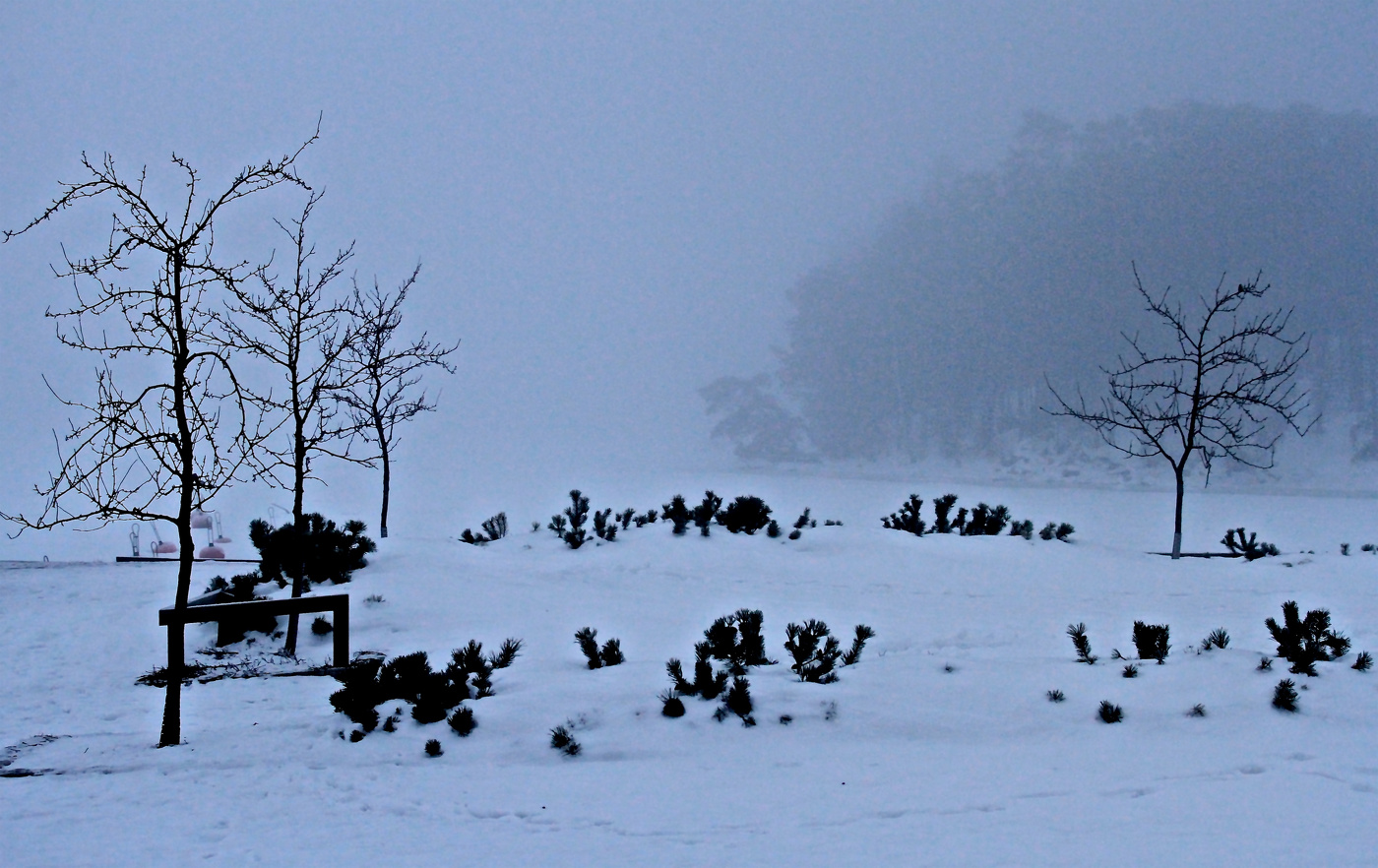 Зимняя графика