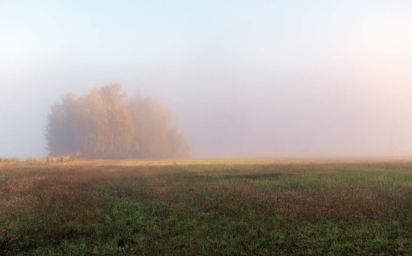 Розовый рассвет