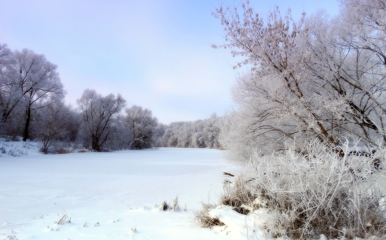Утро в инее