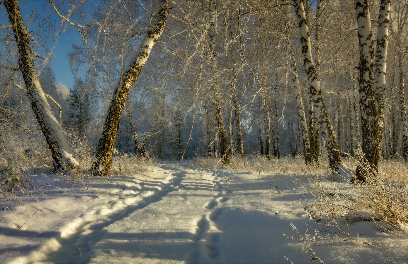 Декабрьская...