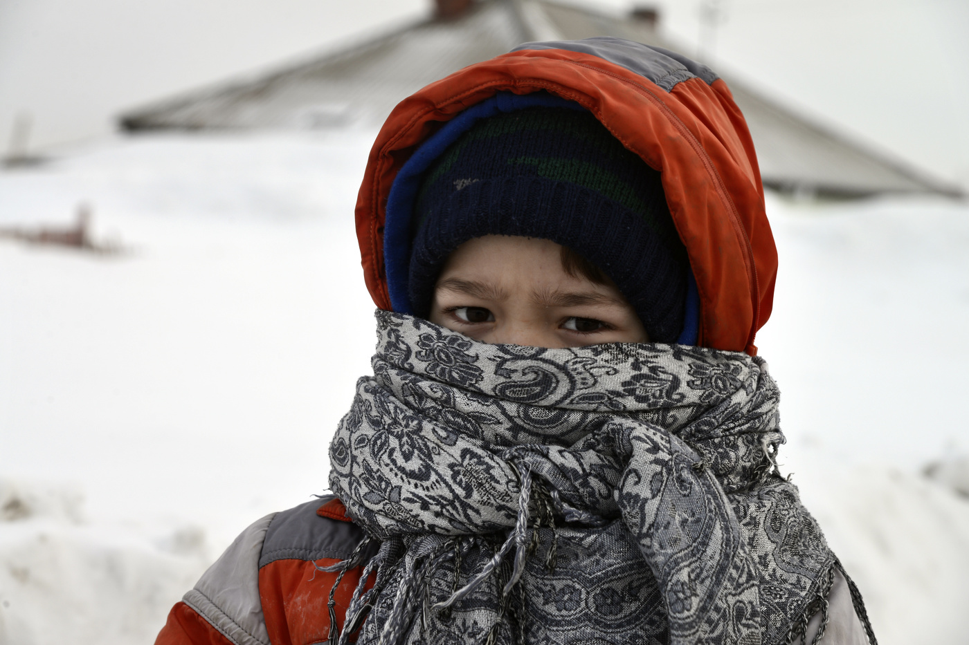 иностранка