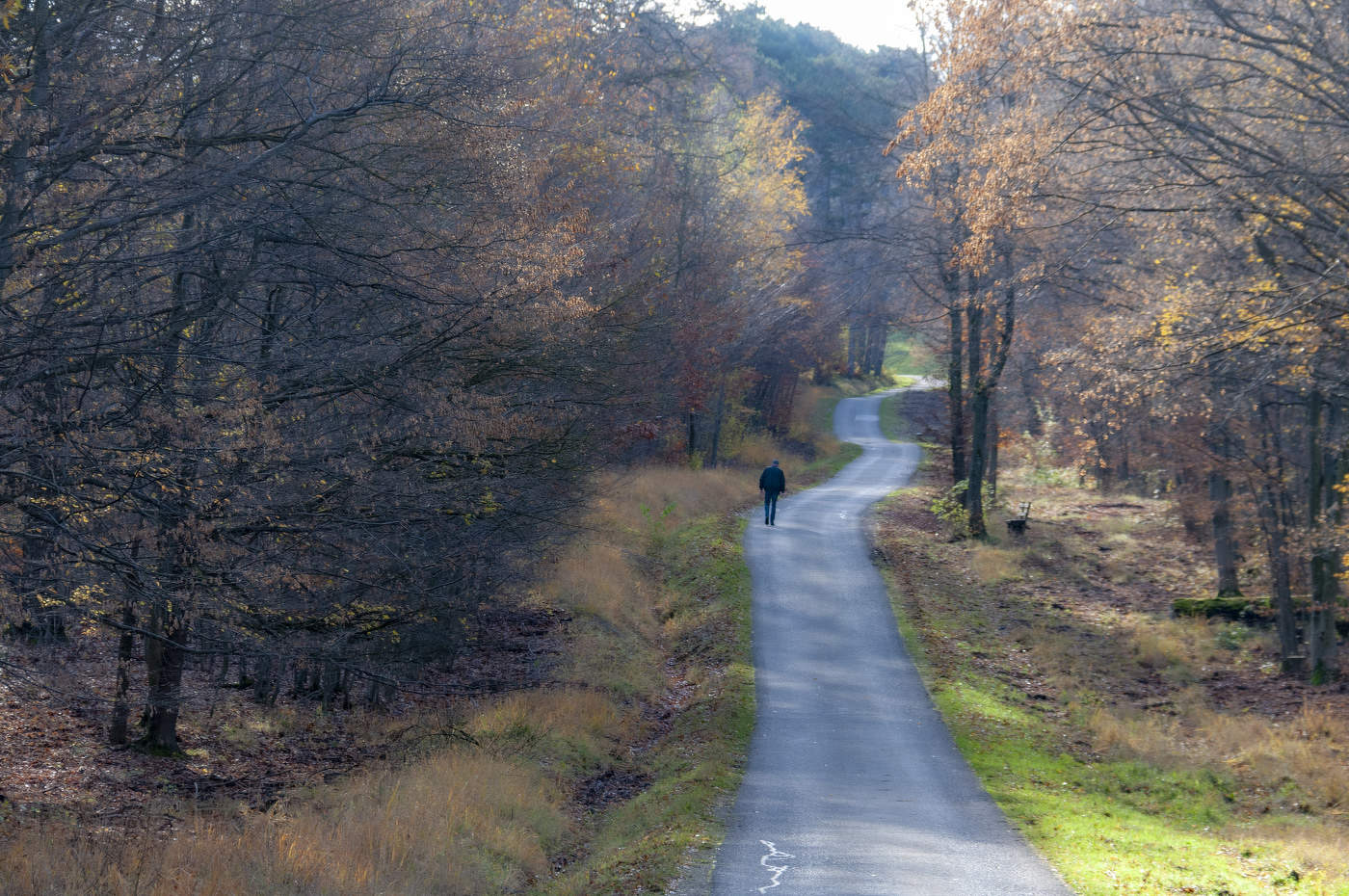 А дорога серою лентою вьется...