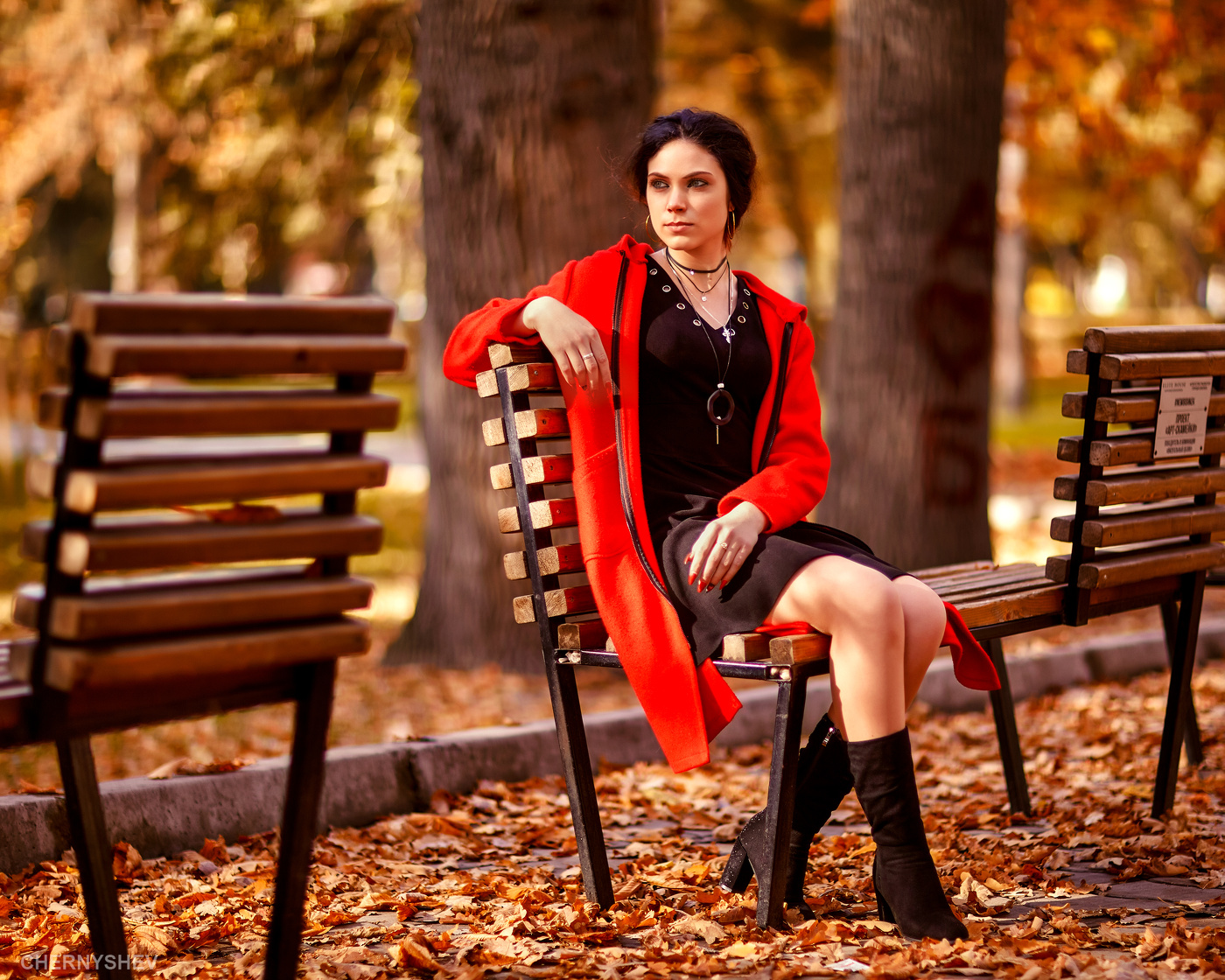 из альбома "логика листьев".