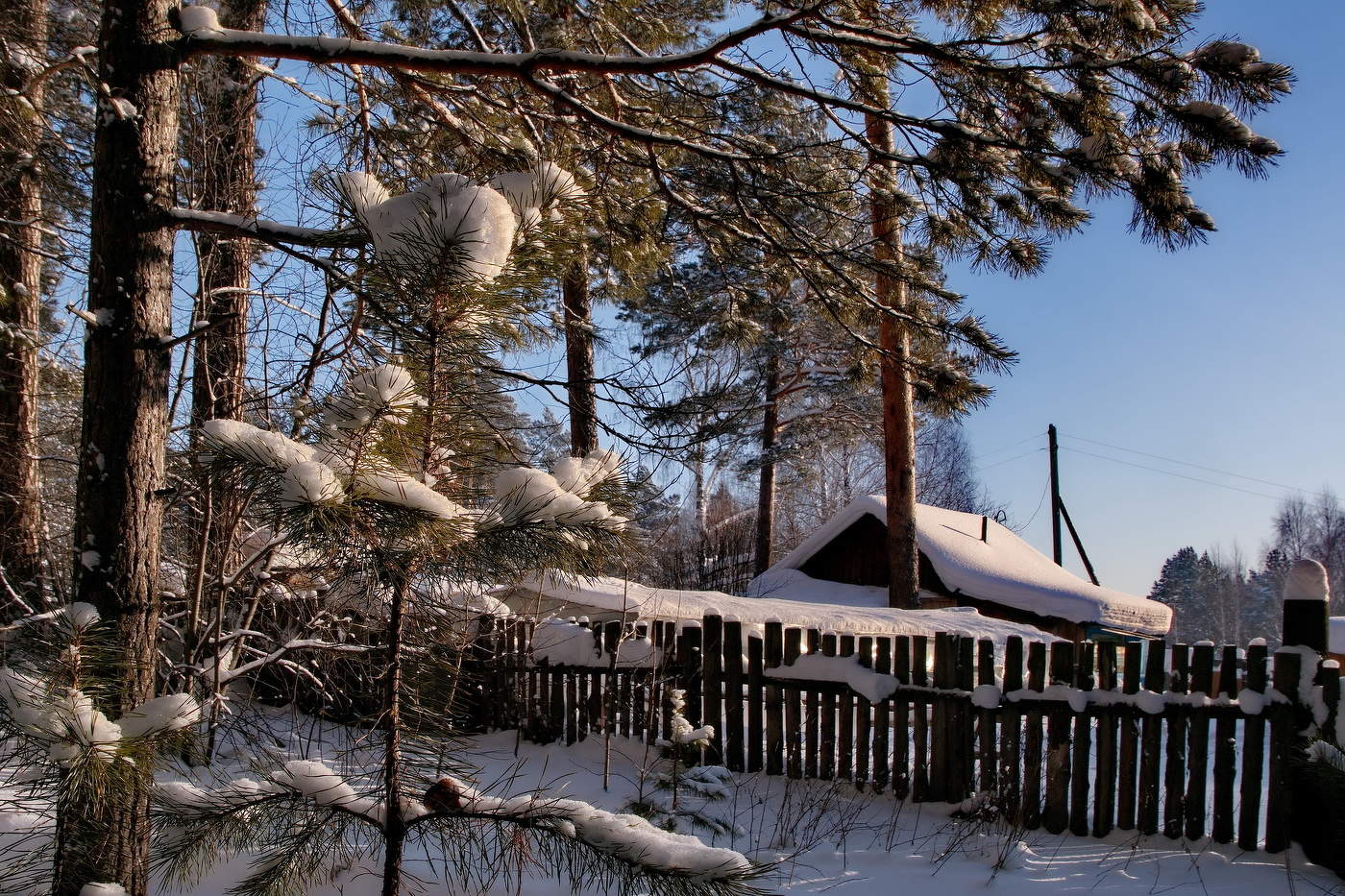 **На лесной опушке.*