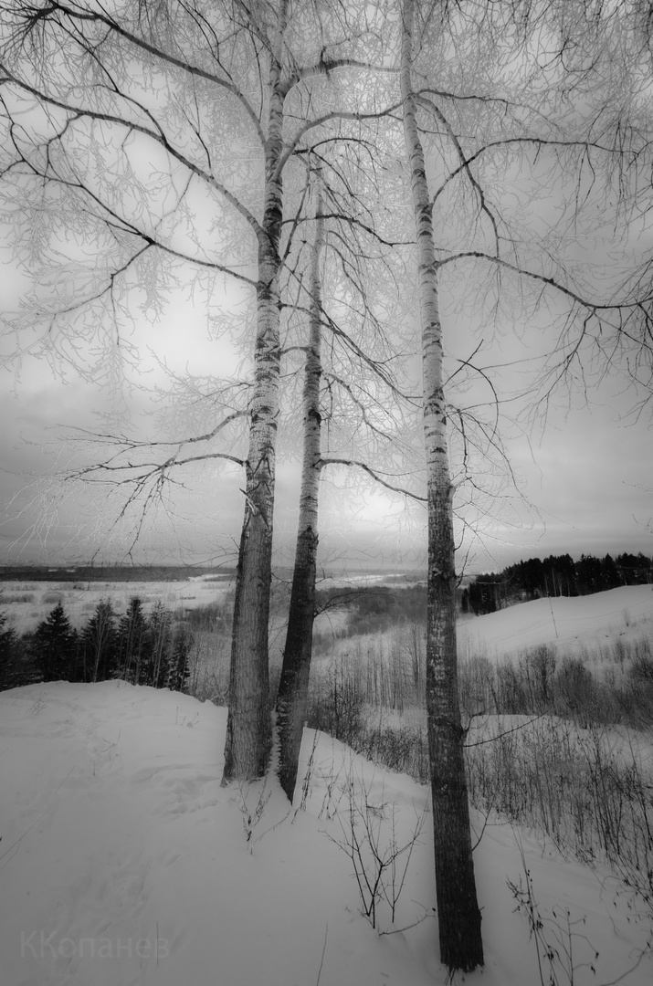 С деревьями