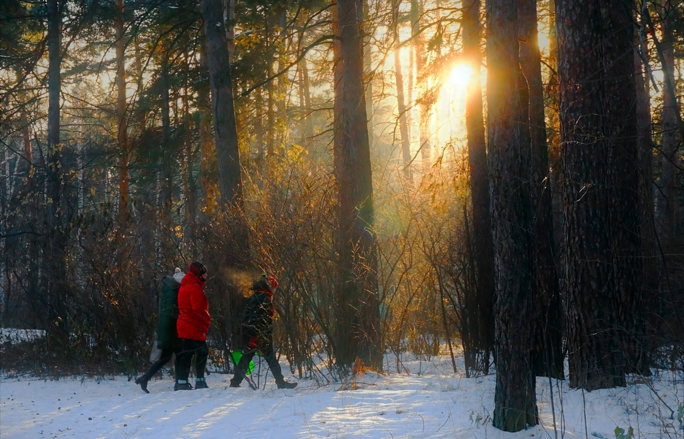 В лес "дремучий"...
