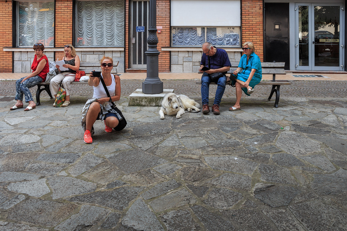 О любителях селфи