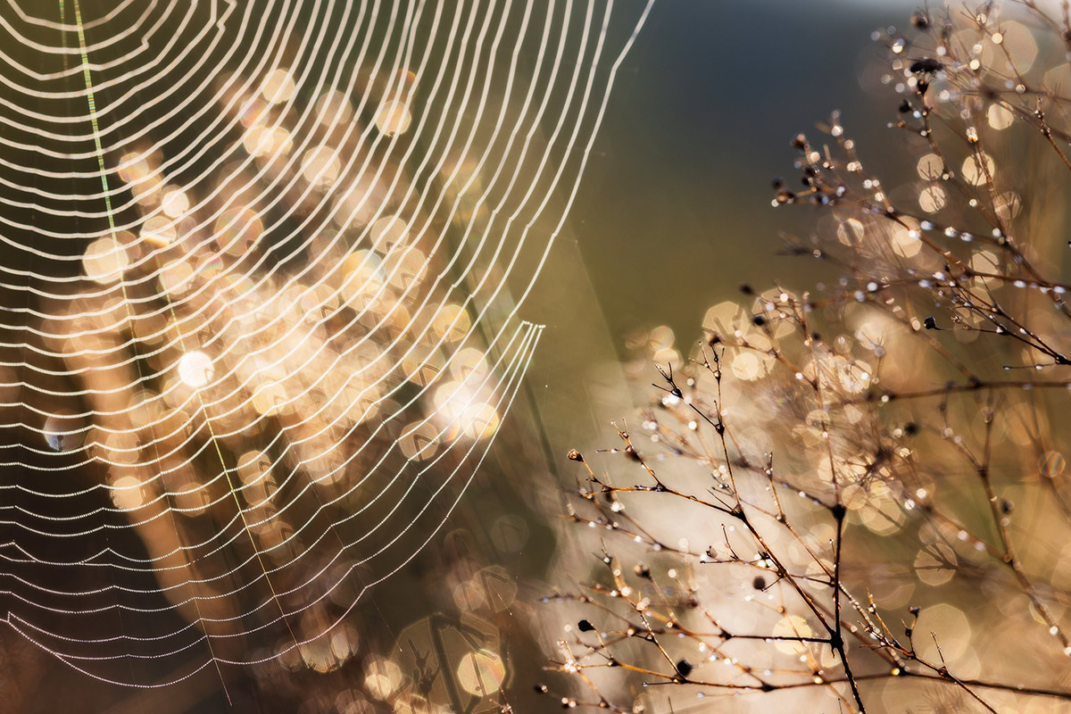 Осень настала