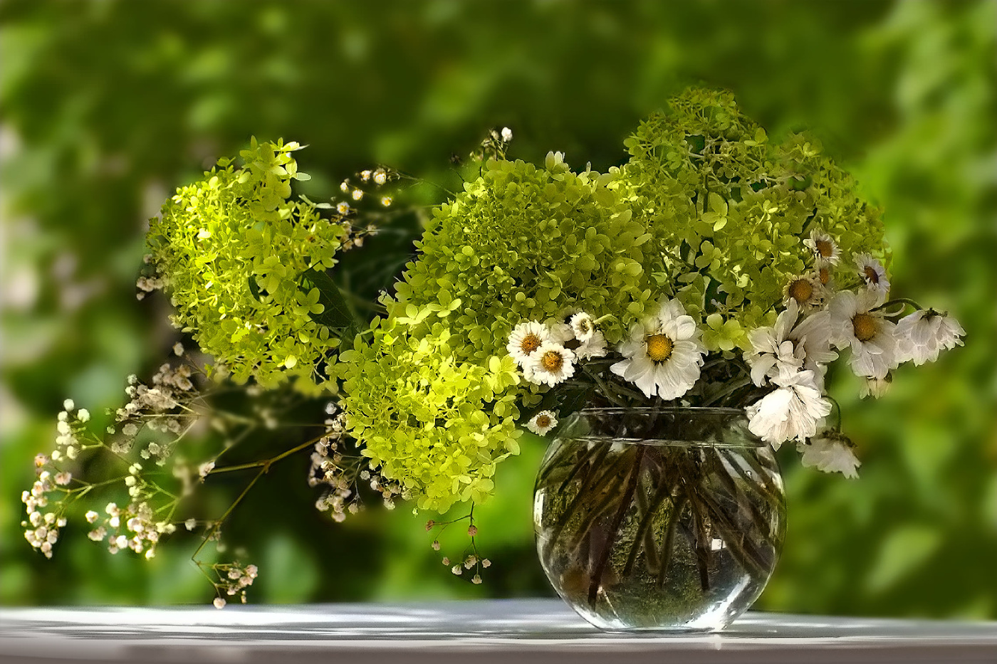 50 оттенков зеленого