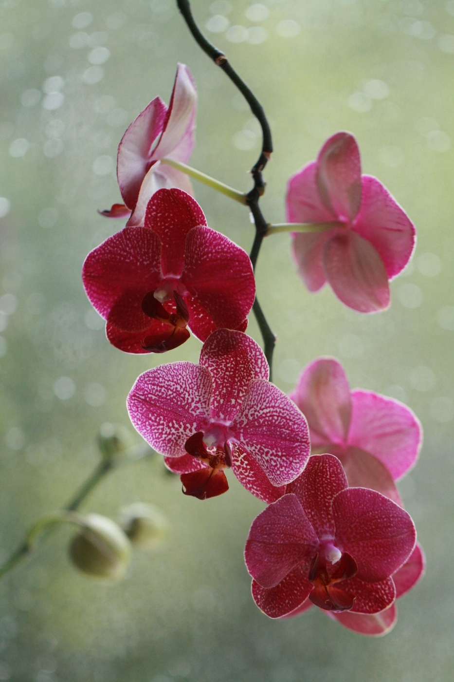 Пришло время