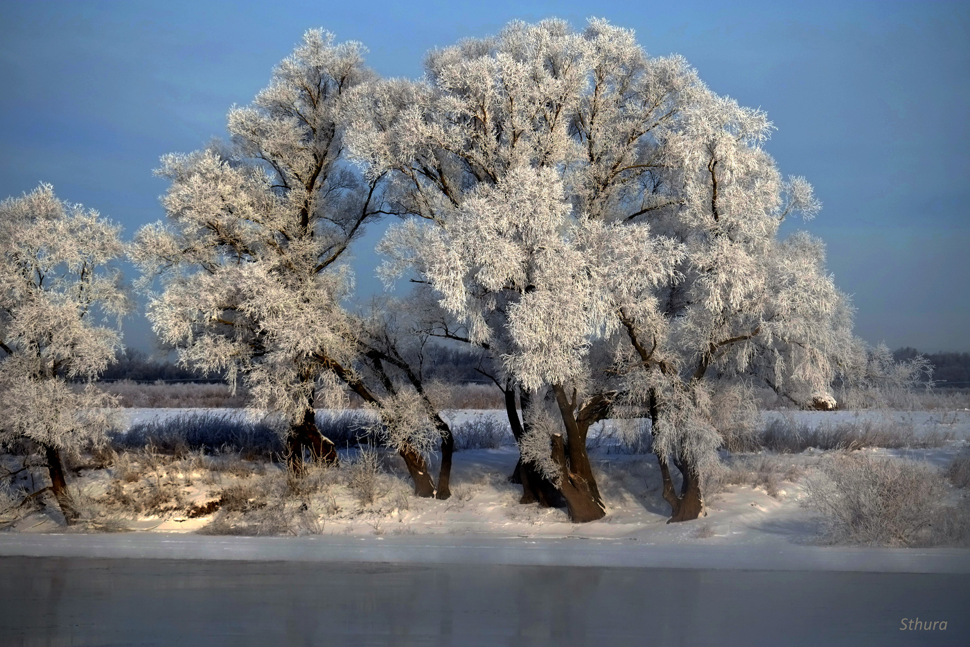Морозное утро.