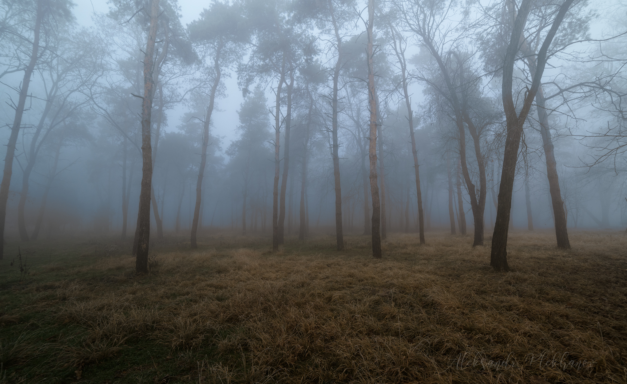 Заблудившиеся а тумане