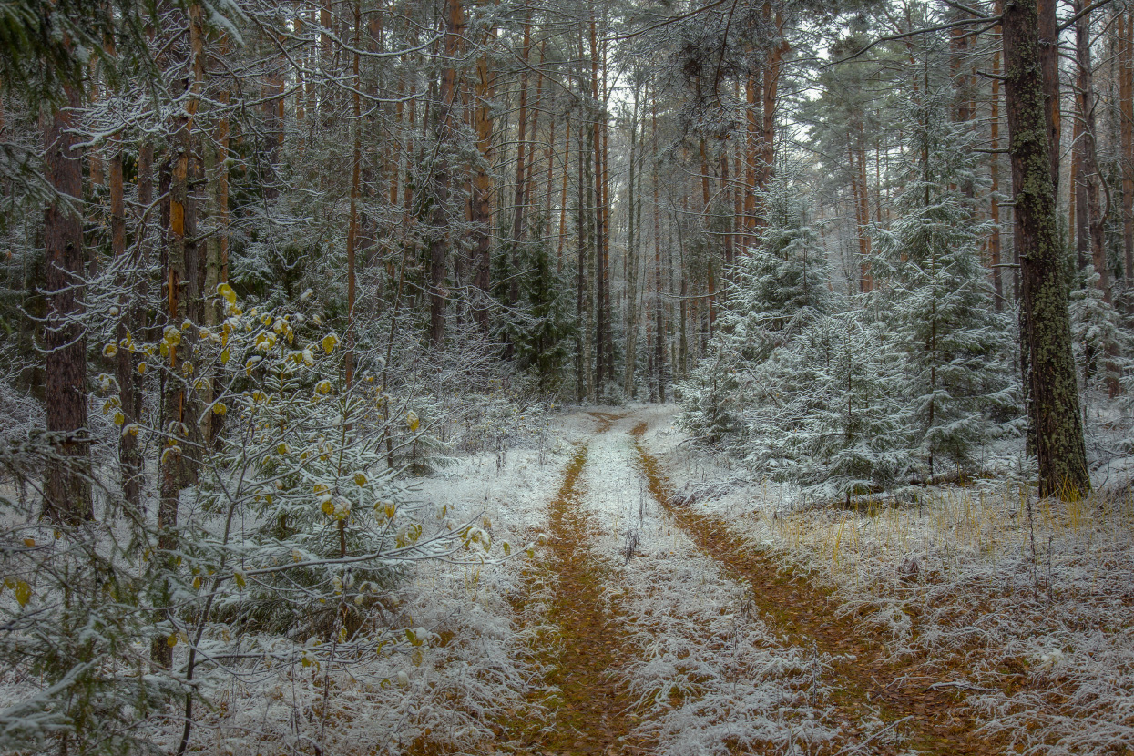 Первый снег в последний день октября