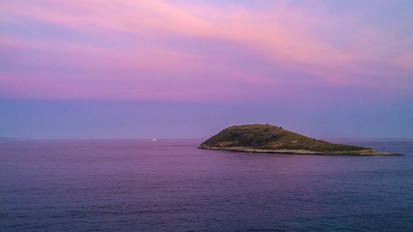 Чудо-юдо рыба-кит на охоте)))