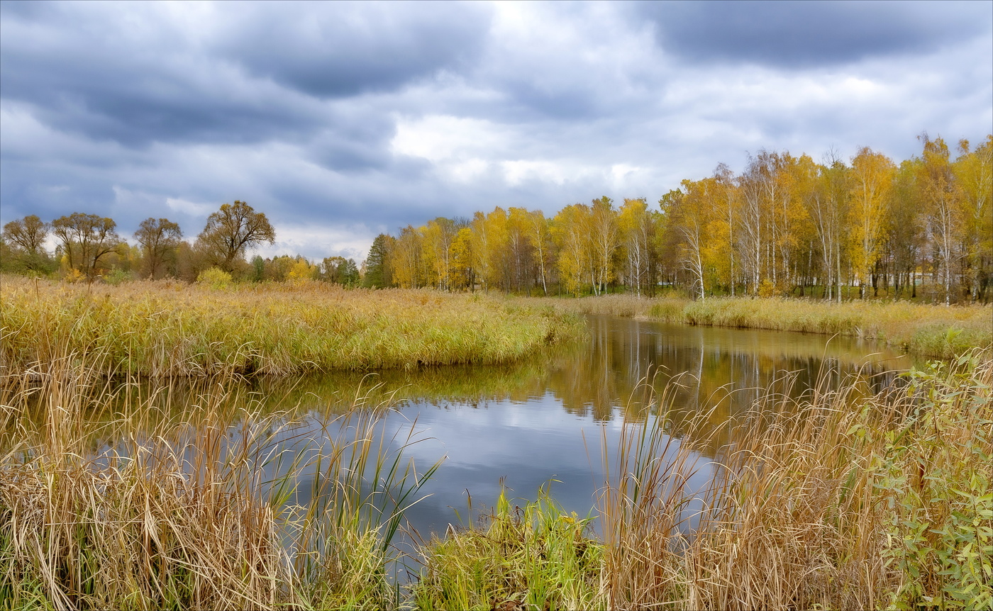 Октябрь резвится, ветром нападая...