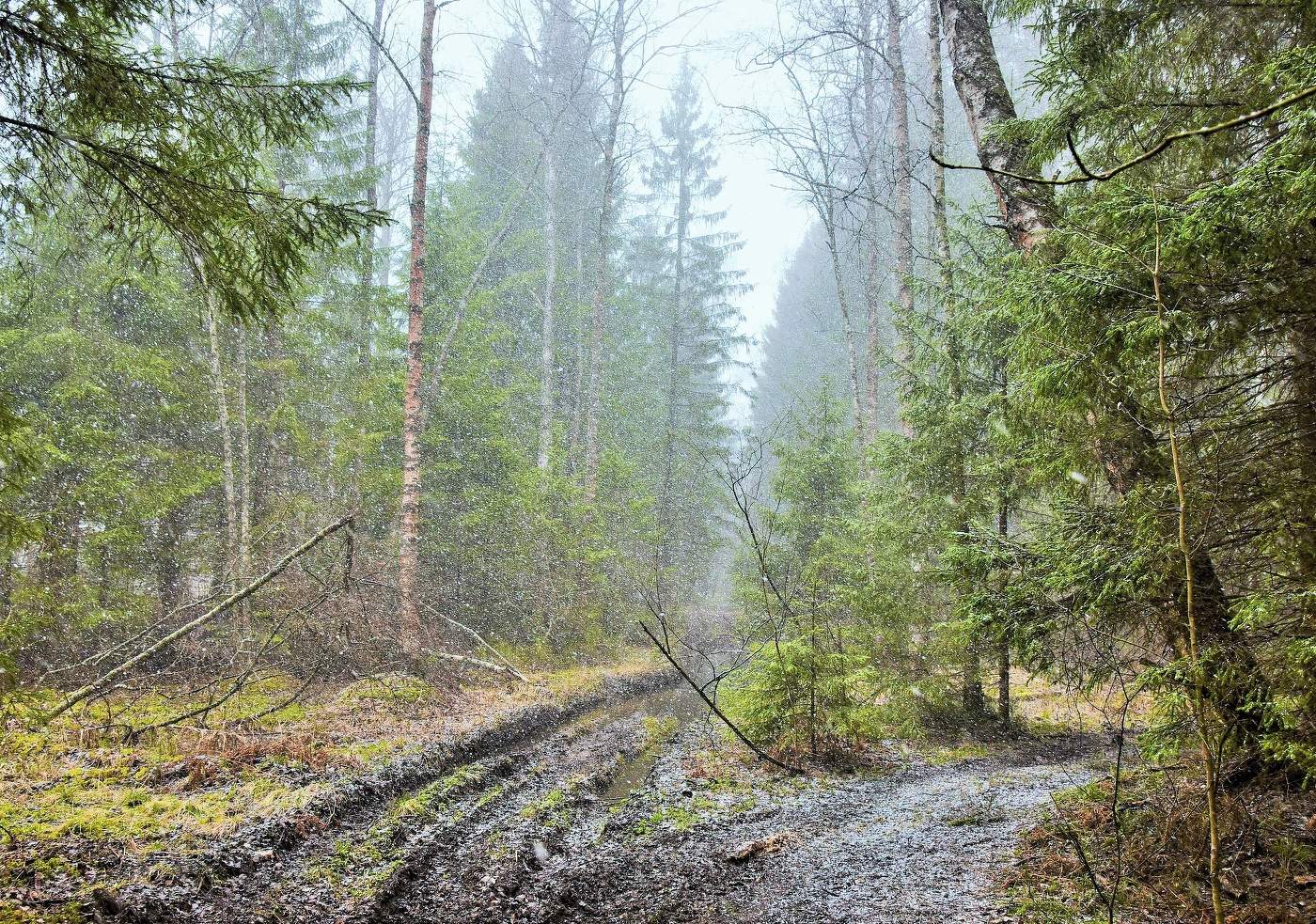 "Апрель не знает, что он хочет, грозит то снегом, то дождем..."