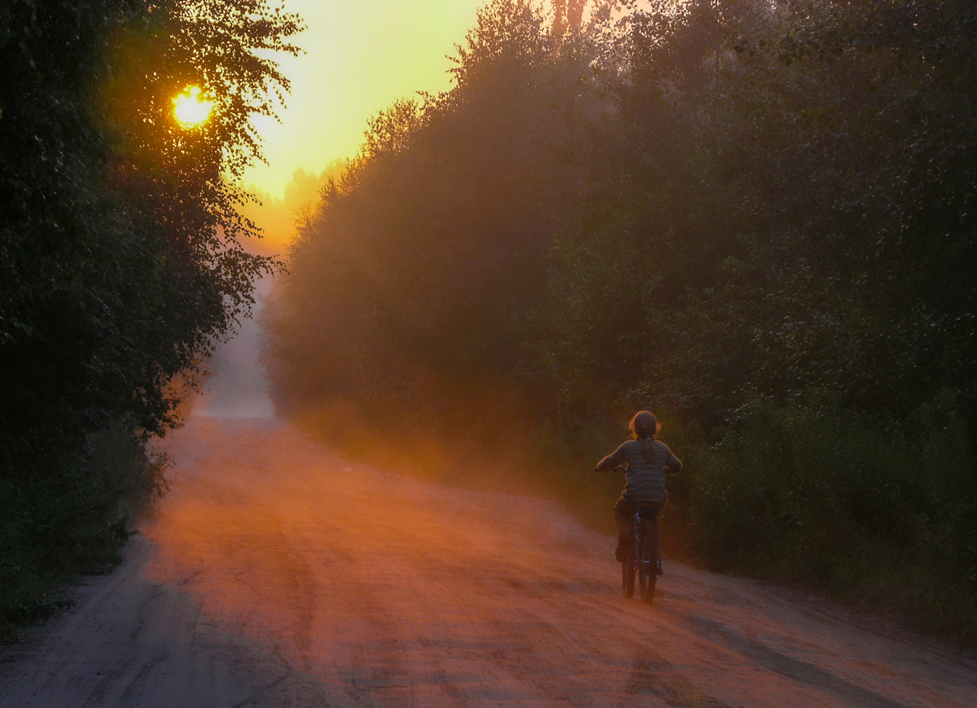Прогулки на заре