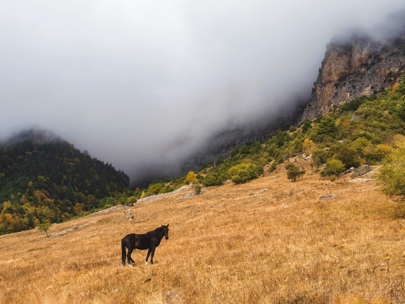 Осень в Ингушетии