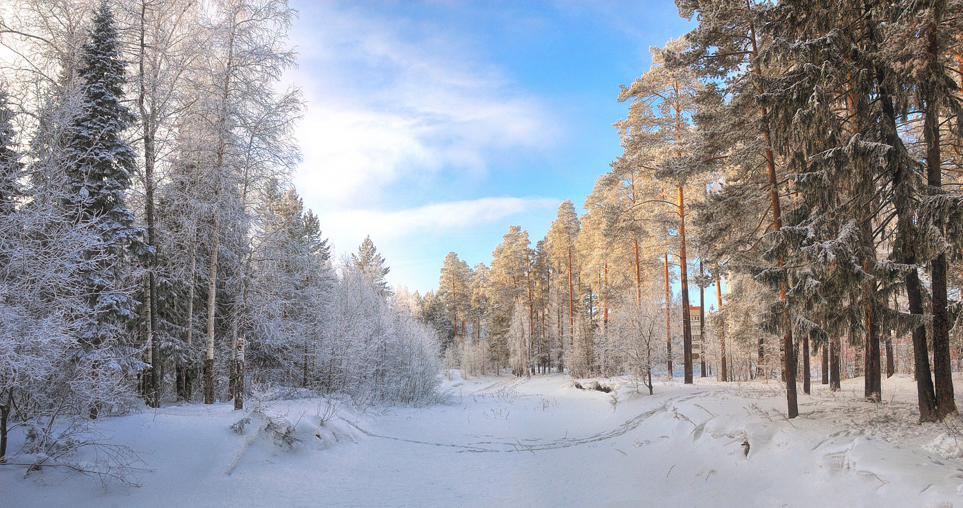 Зима сковала берега