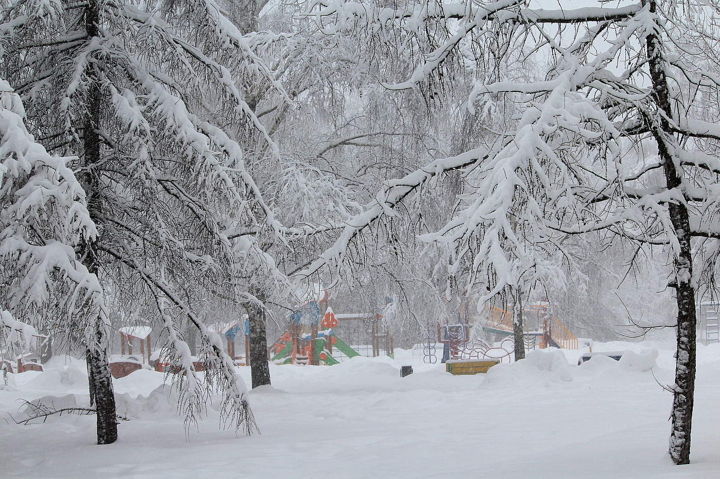 Природа зимой!