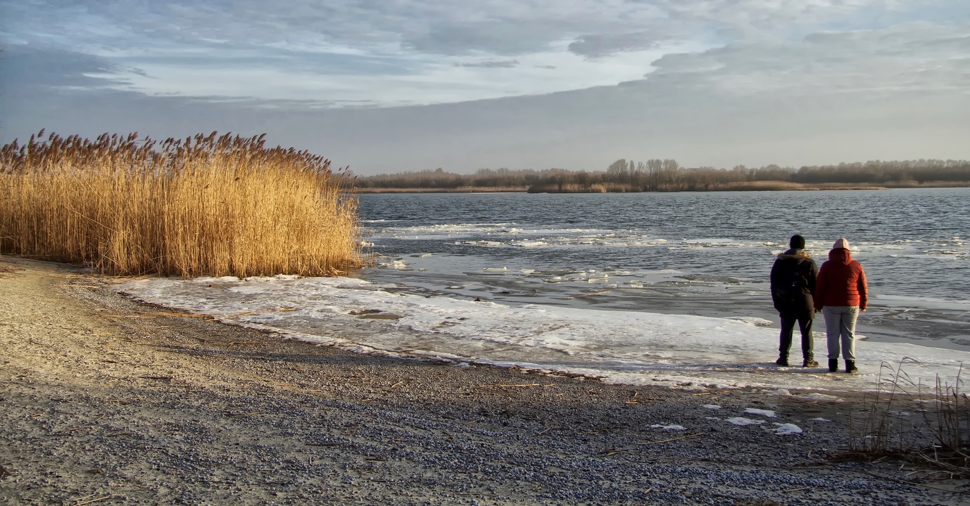 Ледниковый период