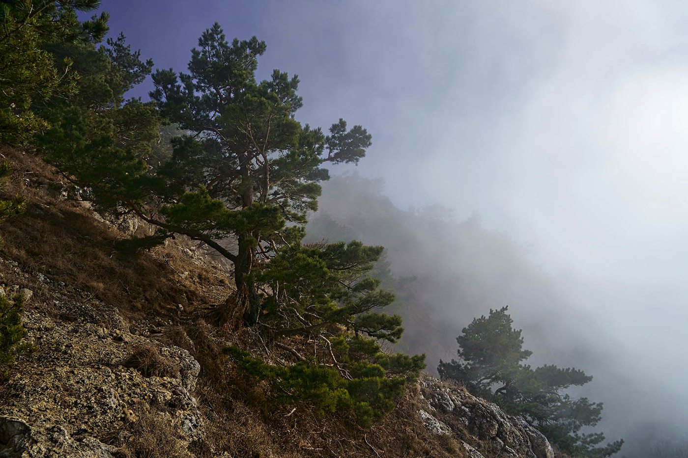 "Зима" на склонах Северного Демирджи