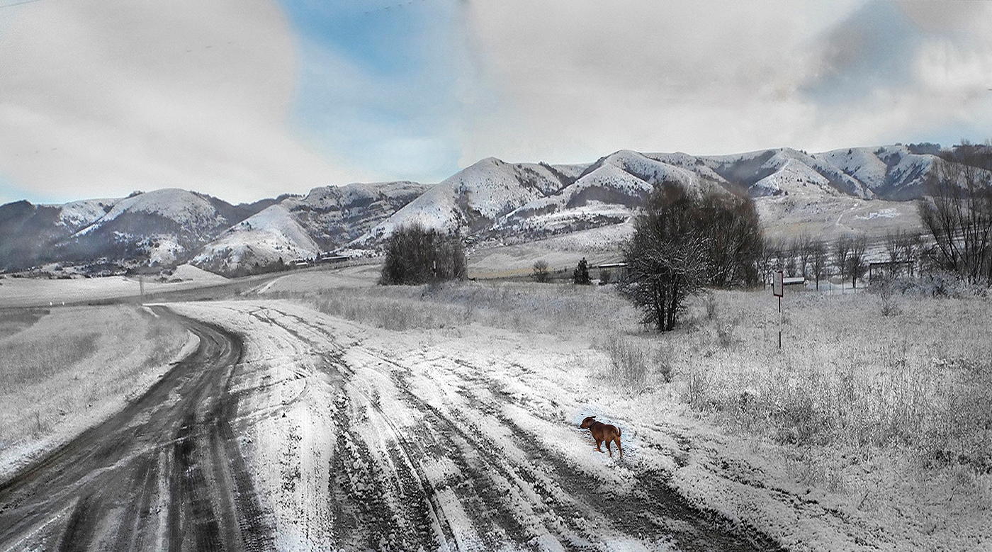 Зимние просёлки