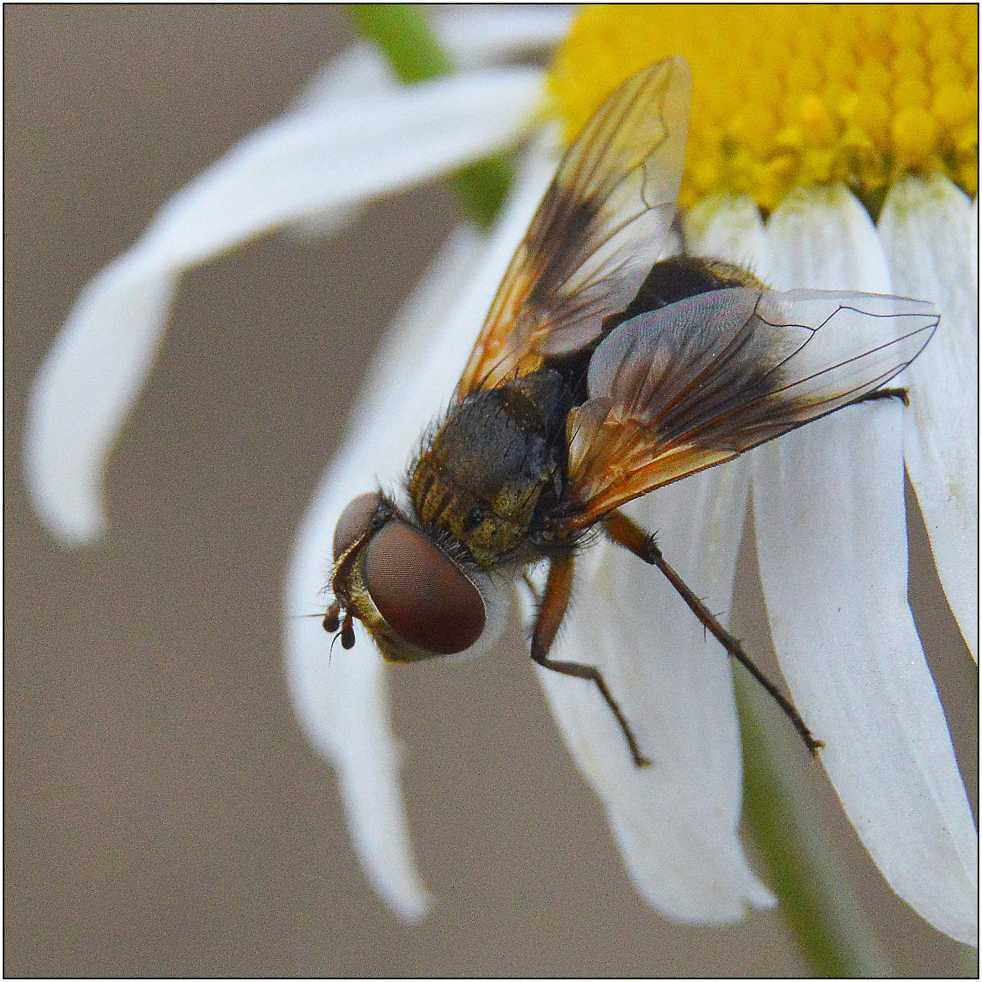 Осень. Октябрь.
