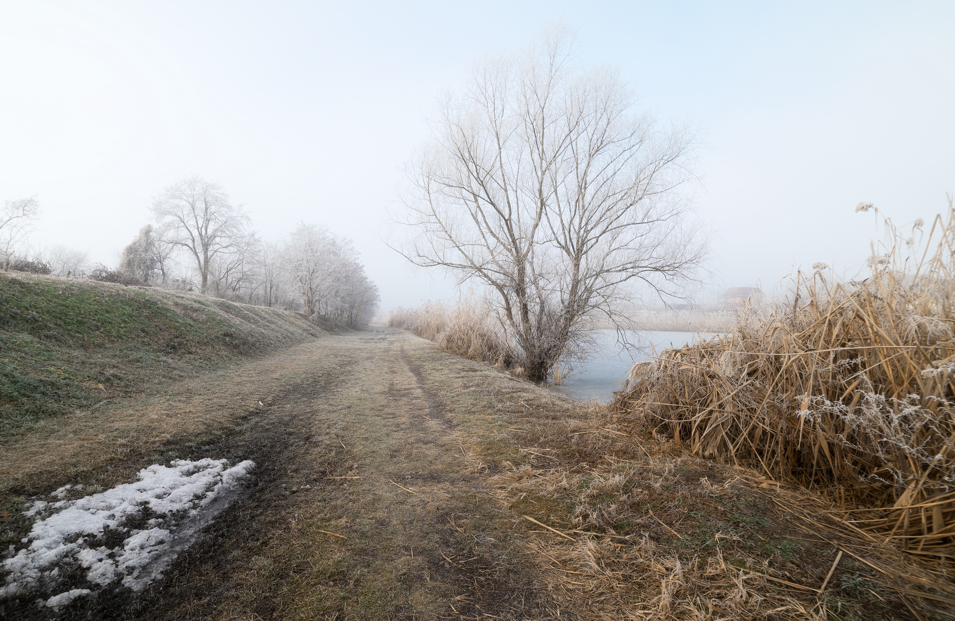 Южная ,,зима,,