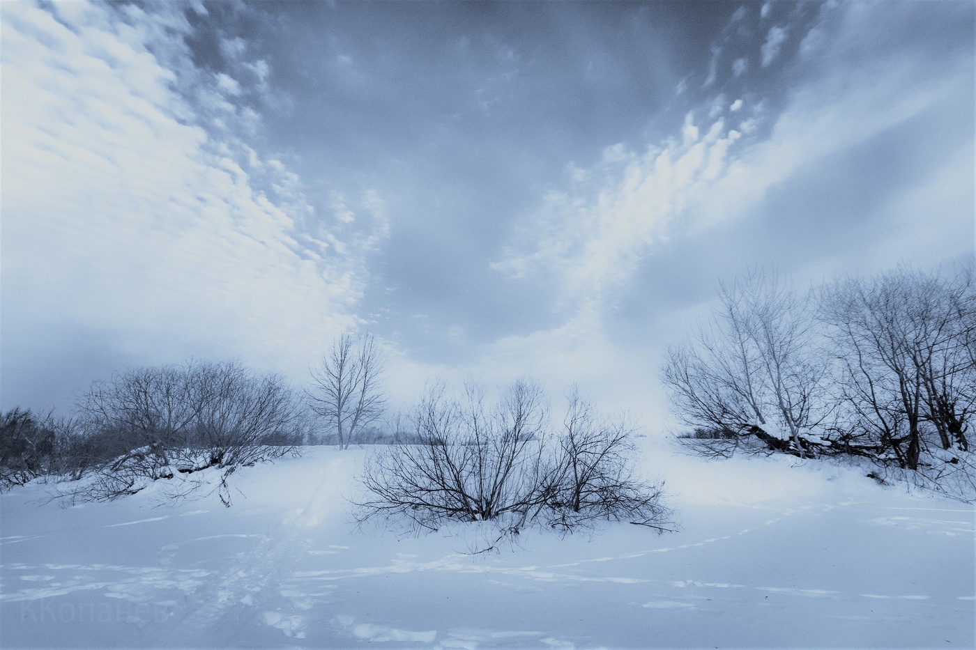 Синий холод