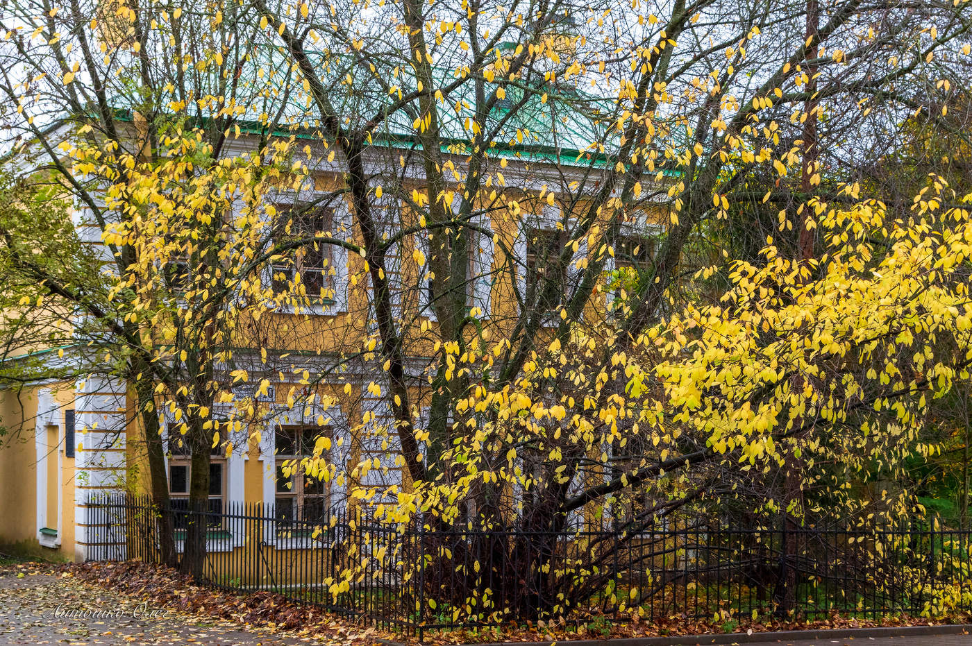 Город Пушкин осенью.