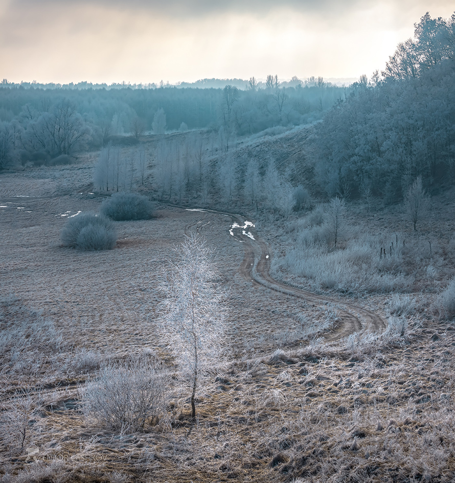 Дорога Левитана