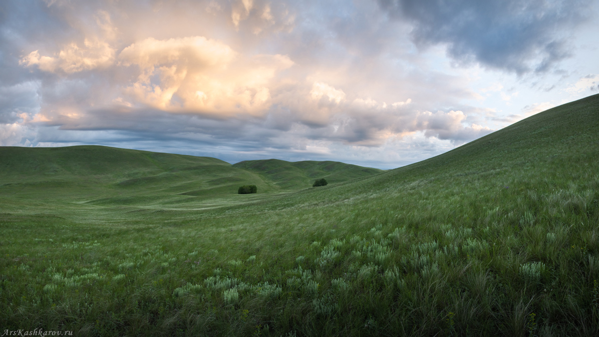 "Разнотравно-ковыльная степь"